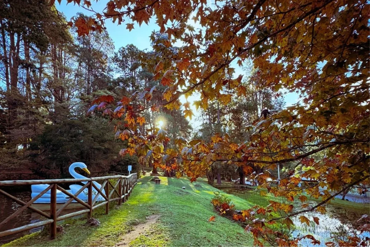 Família cristã caminhando em parque com araucárias em Campos do Jordão no inverno, vestindo roupas de frio e sorrindo.