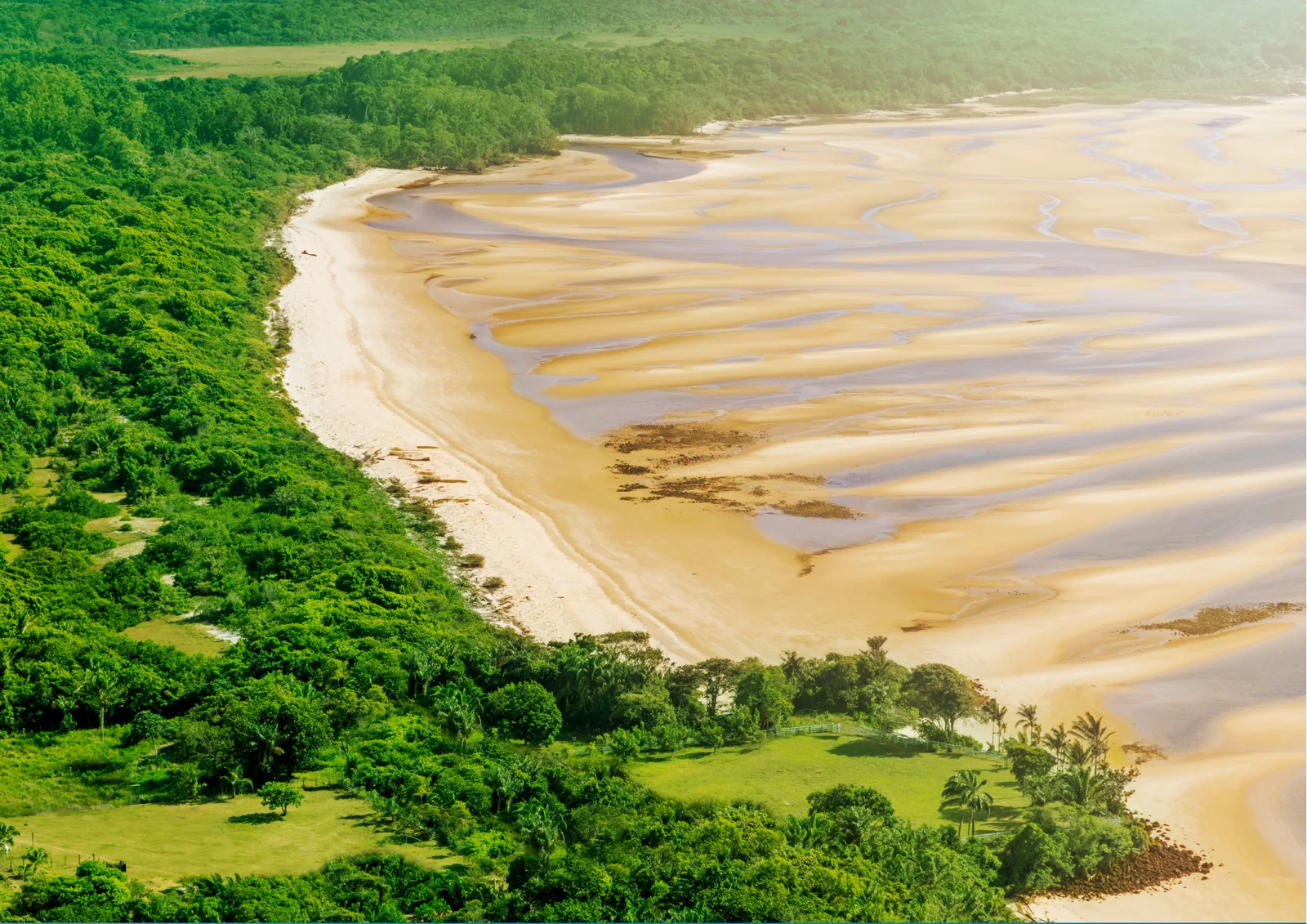 Ilha de Marajó, Curiosidades, Como Chegar, Melhor Época [Guia de viagem]