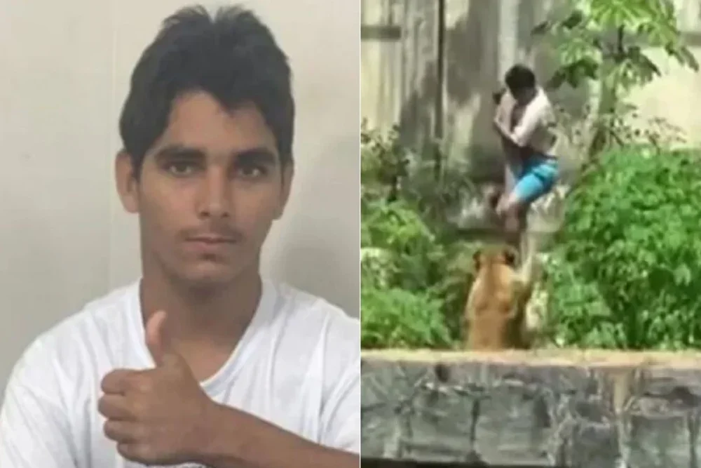 Histórico criminal revela reincidência em crimes contra patrimônio de jovem que invadiu jaula